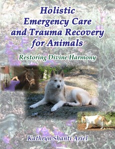 Holistic Emergency Care and Trauma Recovery for Animals cover