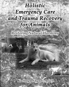 HECTR4Animals b&w cover
