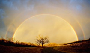 rainbow over tree lightened